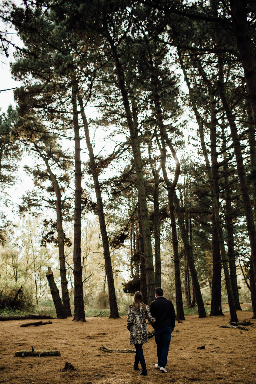 couple holding hands and walking through a pine forest 